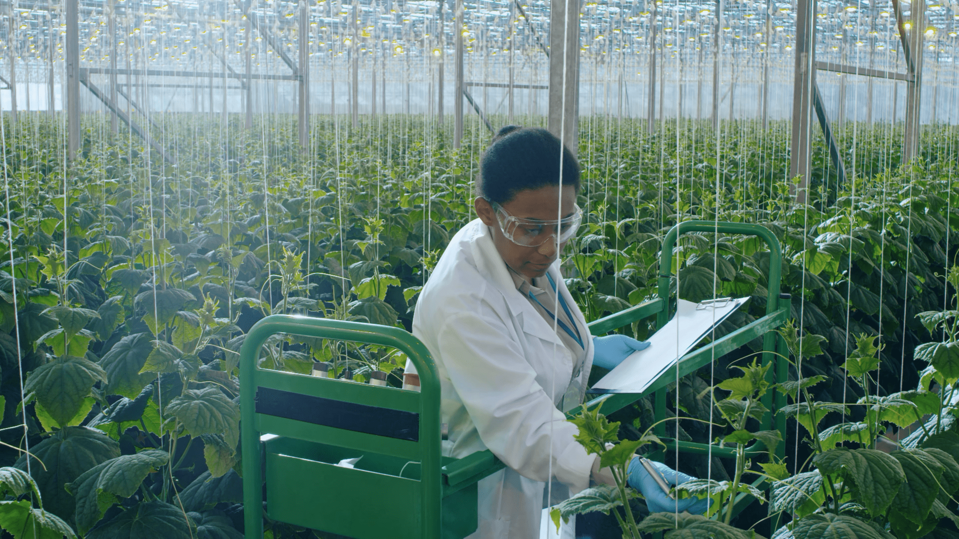 a woman wearing a white lab coat, standing in a greenhouse filled with plants